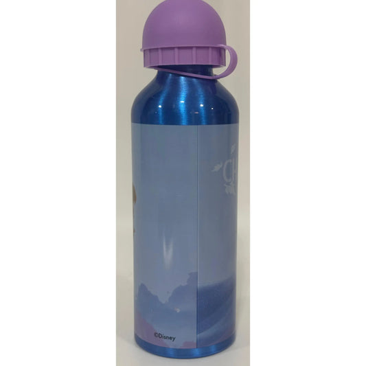 Botella agua aluminio 500ml Frozen Azul
