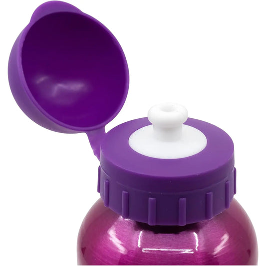 Botella de agua aluminio Patrulla Canina Sky 530ml