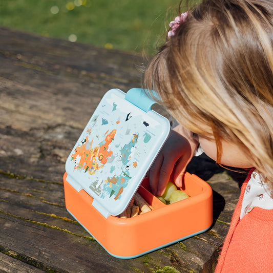 Tupper sandwichera infantil QUOKKA TWIST KIDS MAP OF LIFE con compartimentos - Sandwichera