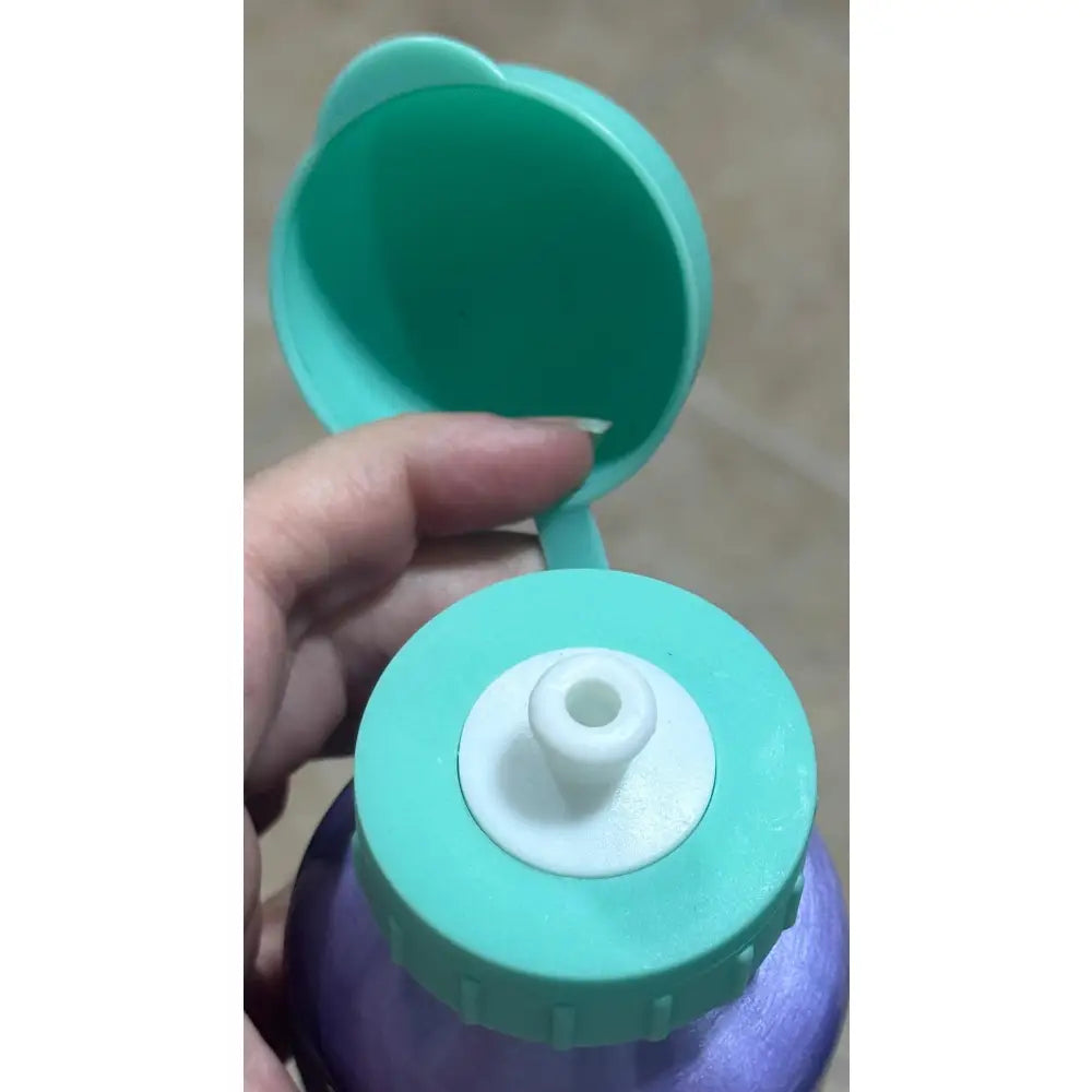 Botella agua aluminio 500ml Frozen Lila