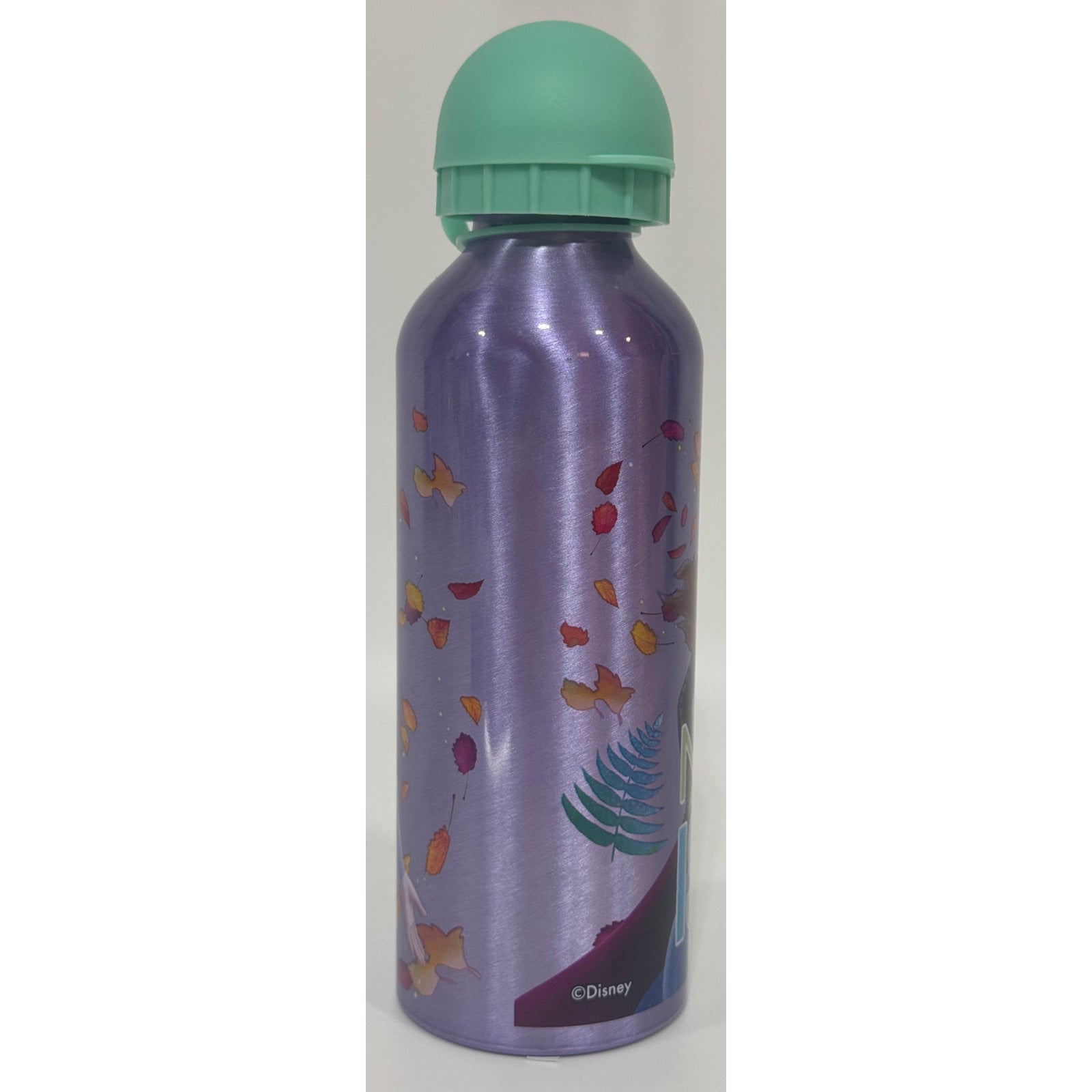 Botella agua aluminio 500ml Frozen Lila