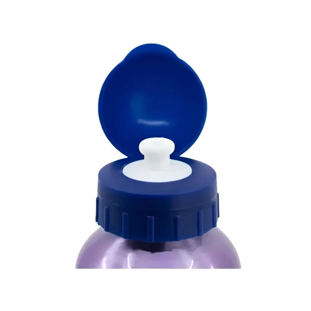 Botella de agua aluminio Frozen 530ml