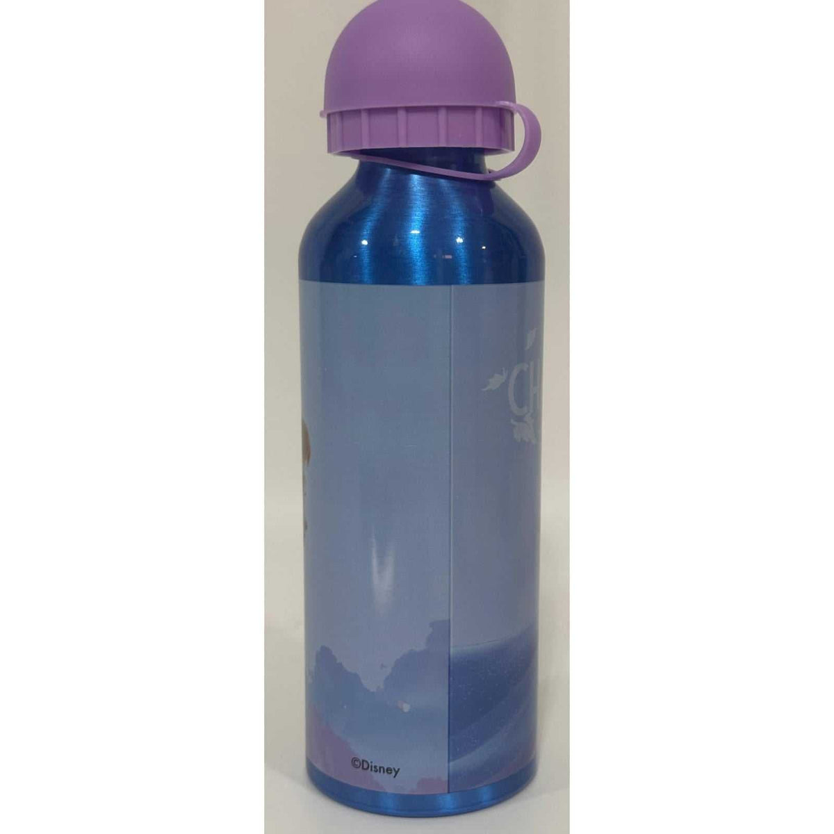 Botella de agua de aluminio Frozen azul 500 ml
