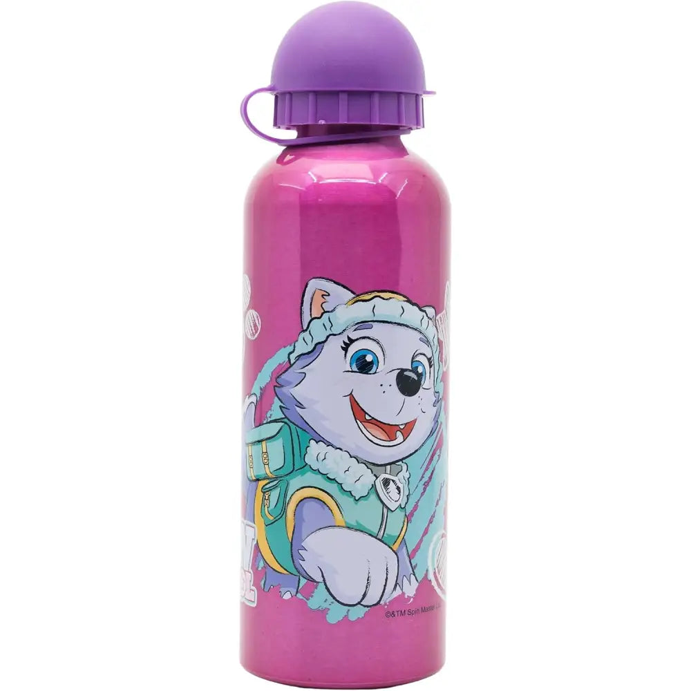 Botella de agua aluminio Patrulla Canina Sky 530ml