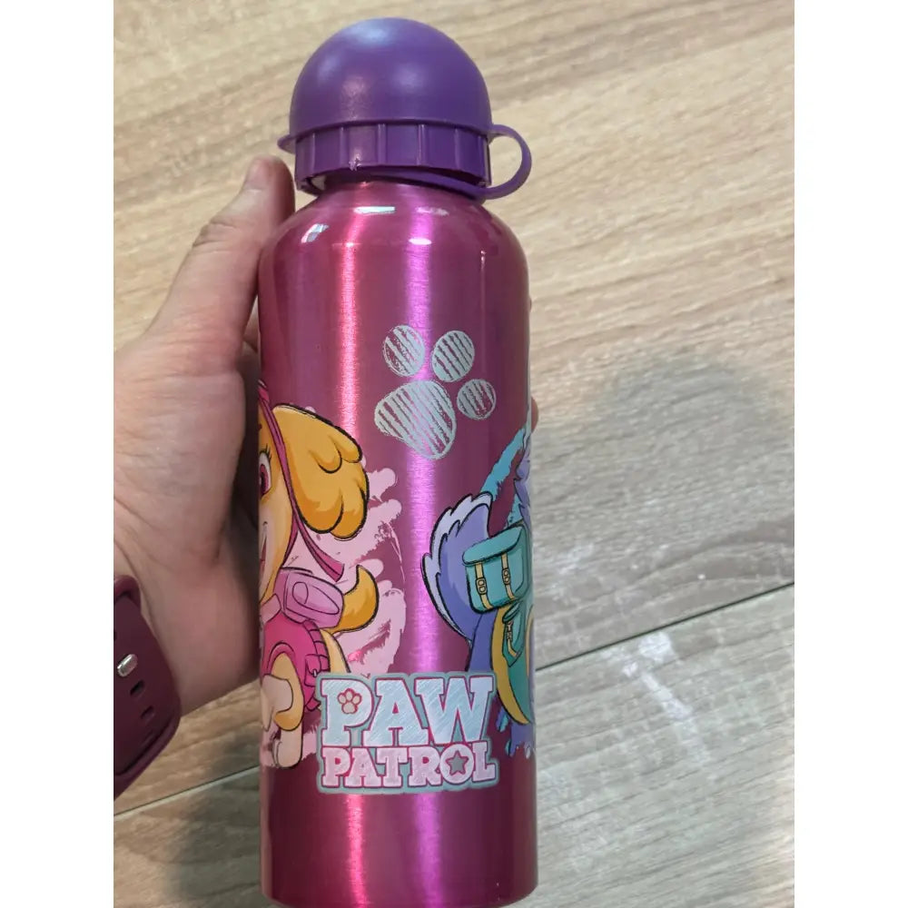 Botella de agua aluminio Patrulla Canina Sky 530ml