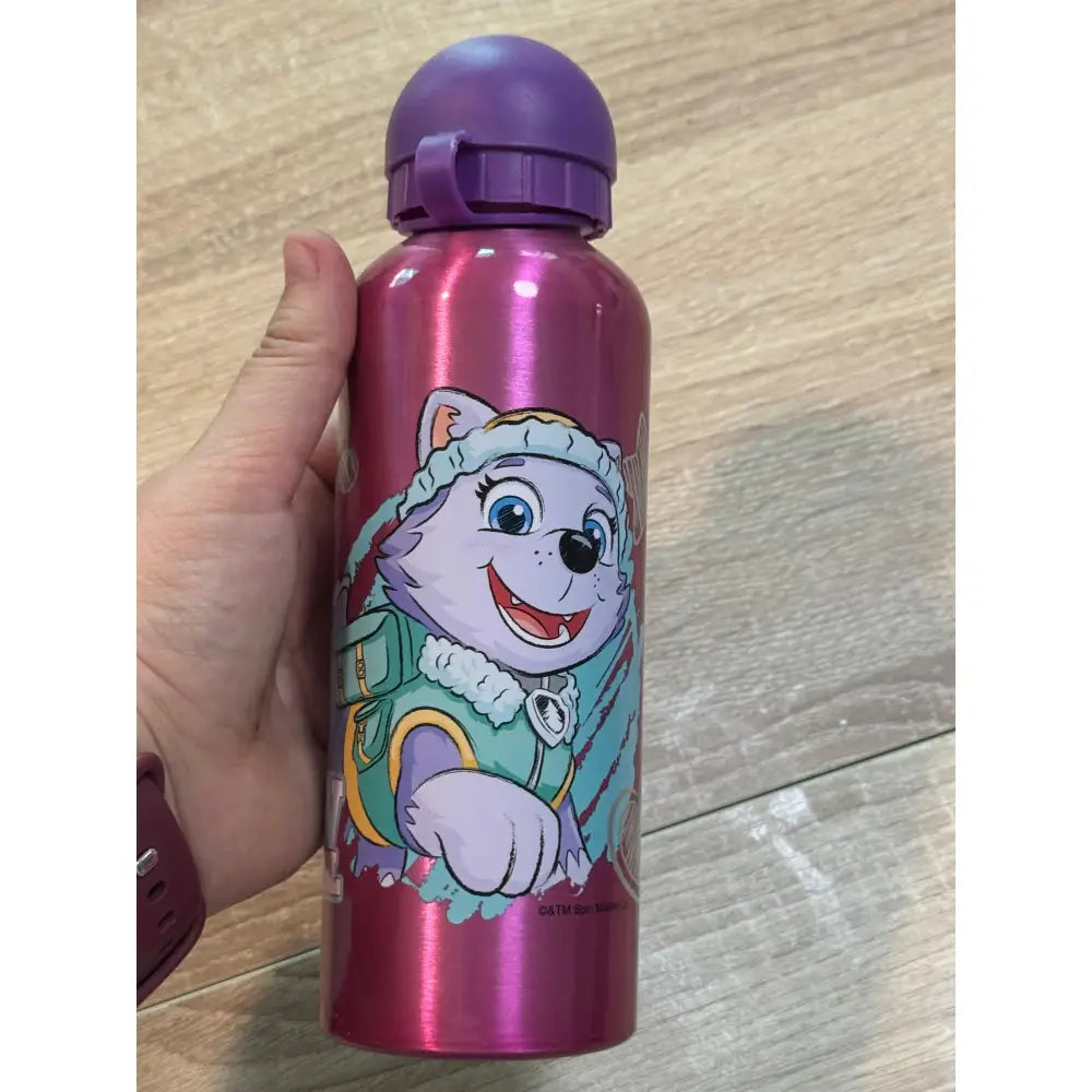 Botella de agua aluminio Patrulla Canina Sky 530ml