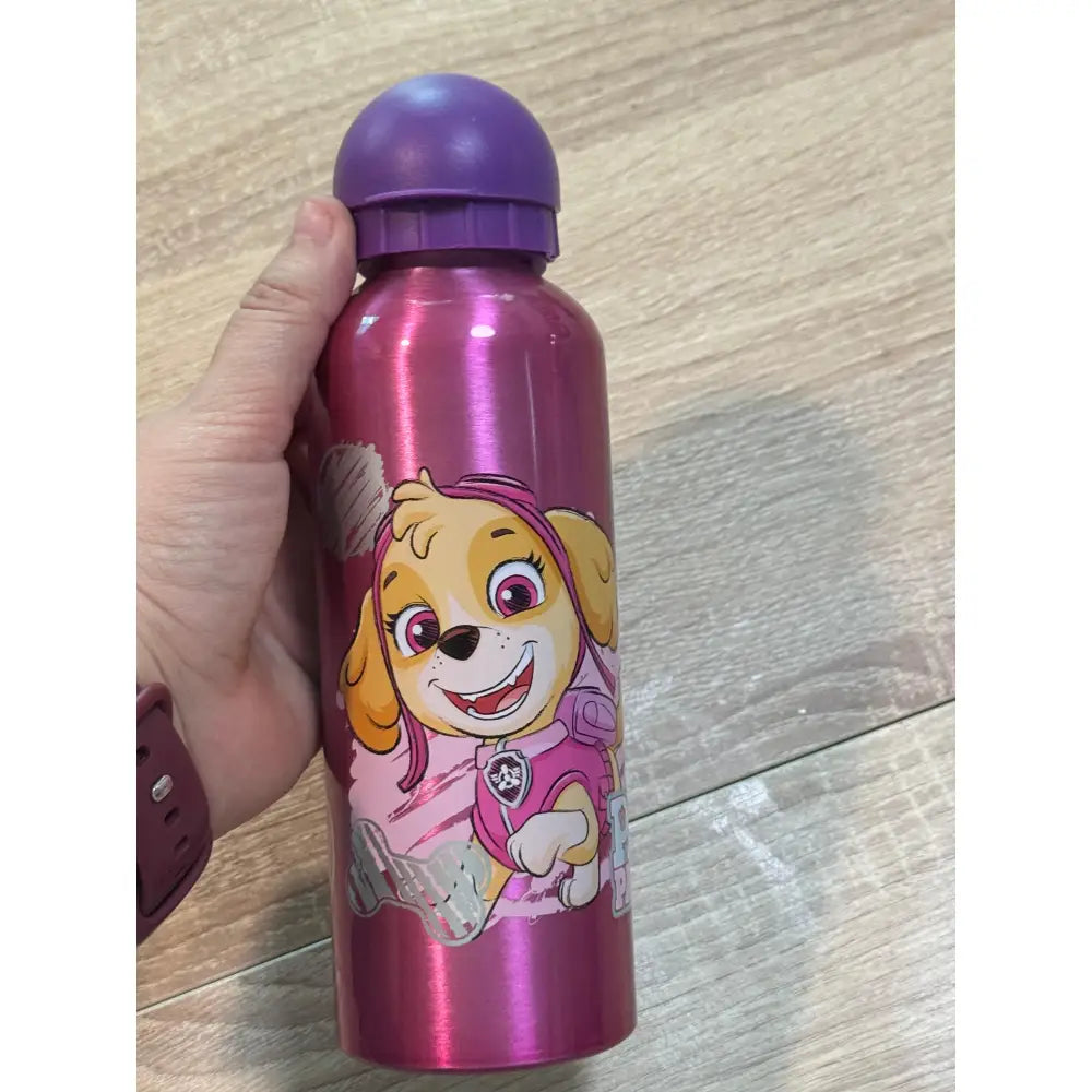 Botella de agua aluminio Patrulla Canina Sky 530ml