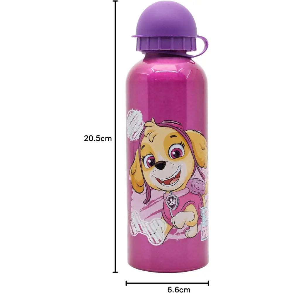 Botella de agua aluminio Patrulla Canina Sky 530ml