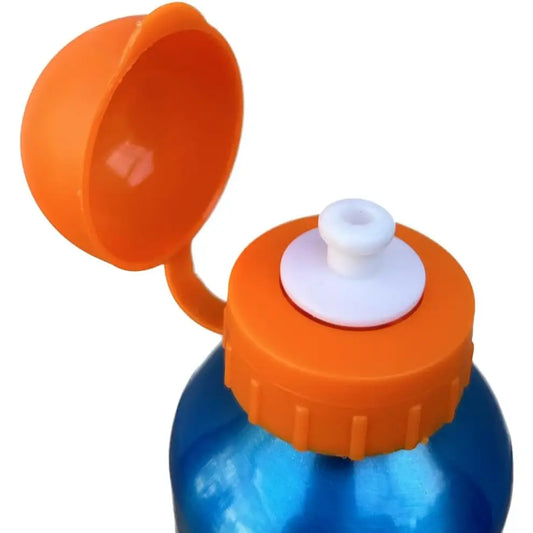 Botella de agua aluminio Pokémon 530ml
