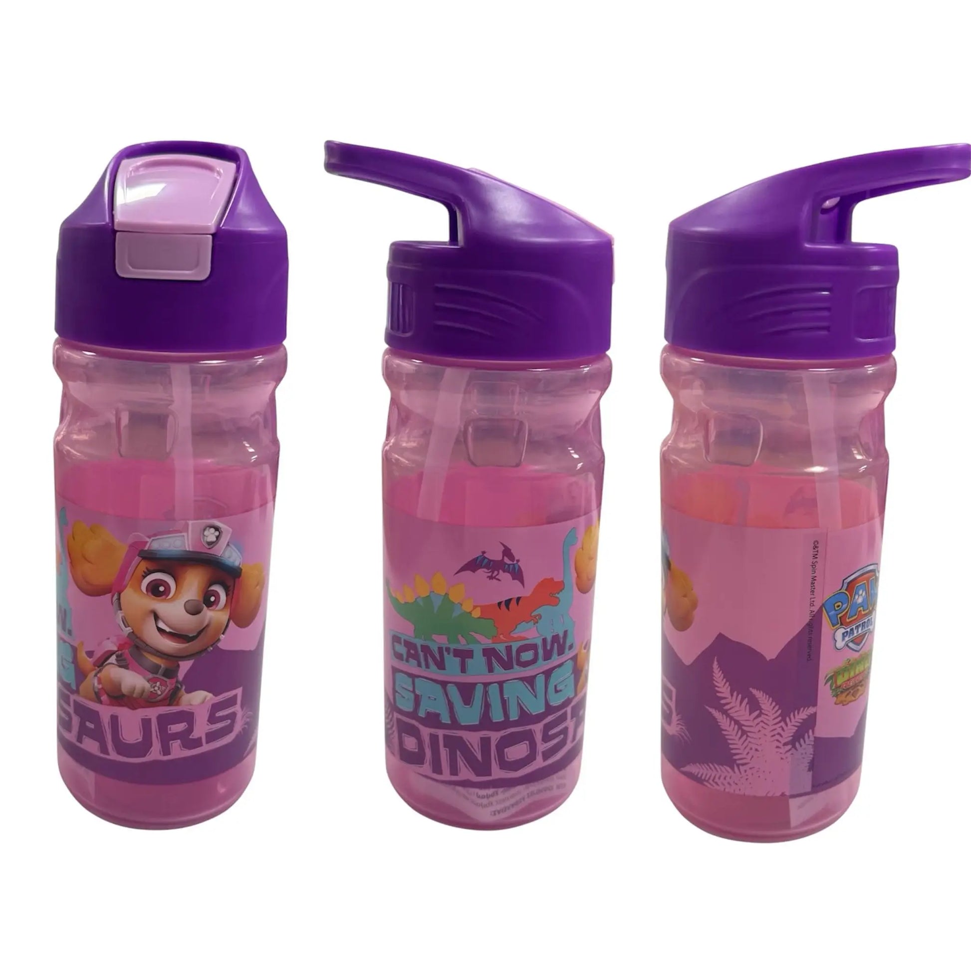 Botella de agua Skye Patrulla canina pajita 550ml