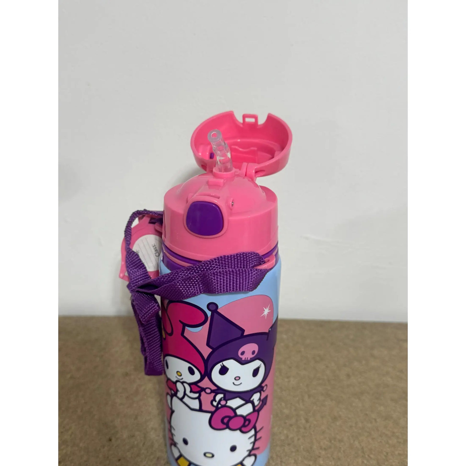 Botella Cantimplora con asa 600ml HELLO KITTY AND FRIENDS