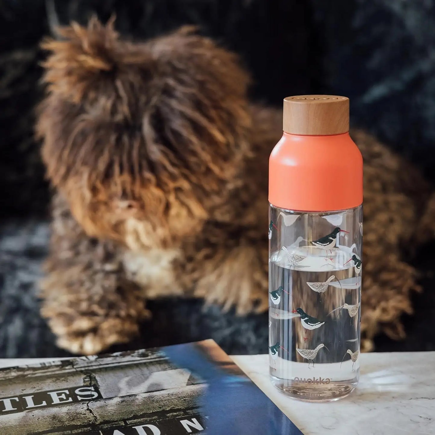 Botella QUOKKA ECOZEN ICE SEA BIRDS 720ML