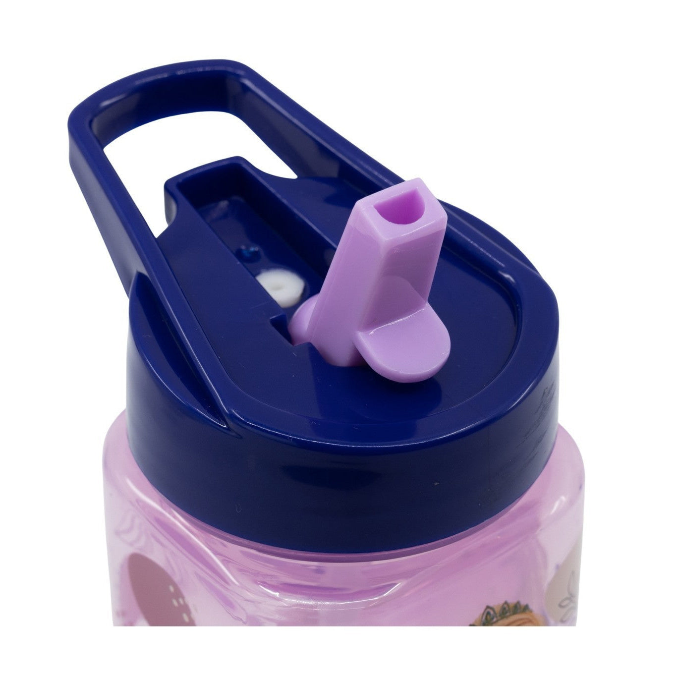 Botella square 510ml Frozen Anna y Elsa con pajita