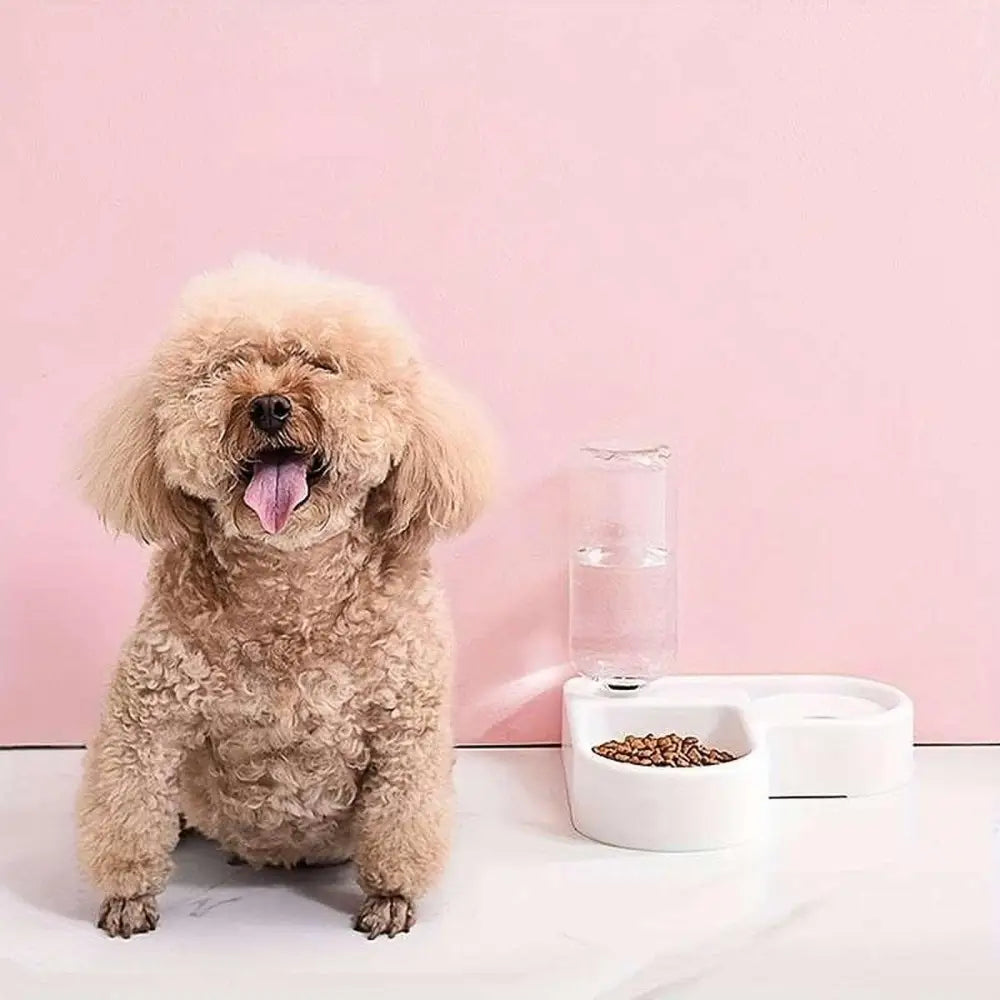 Comedero y bebedero 2 en 1 para animales domésticos esquina mascotas