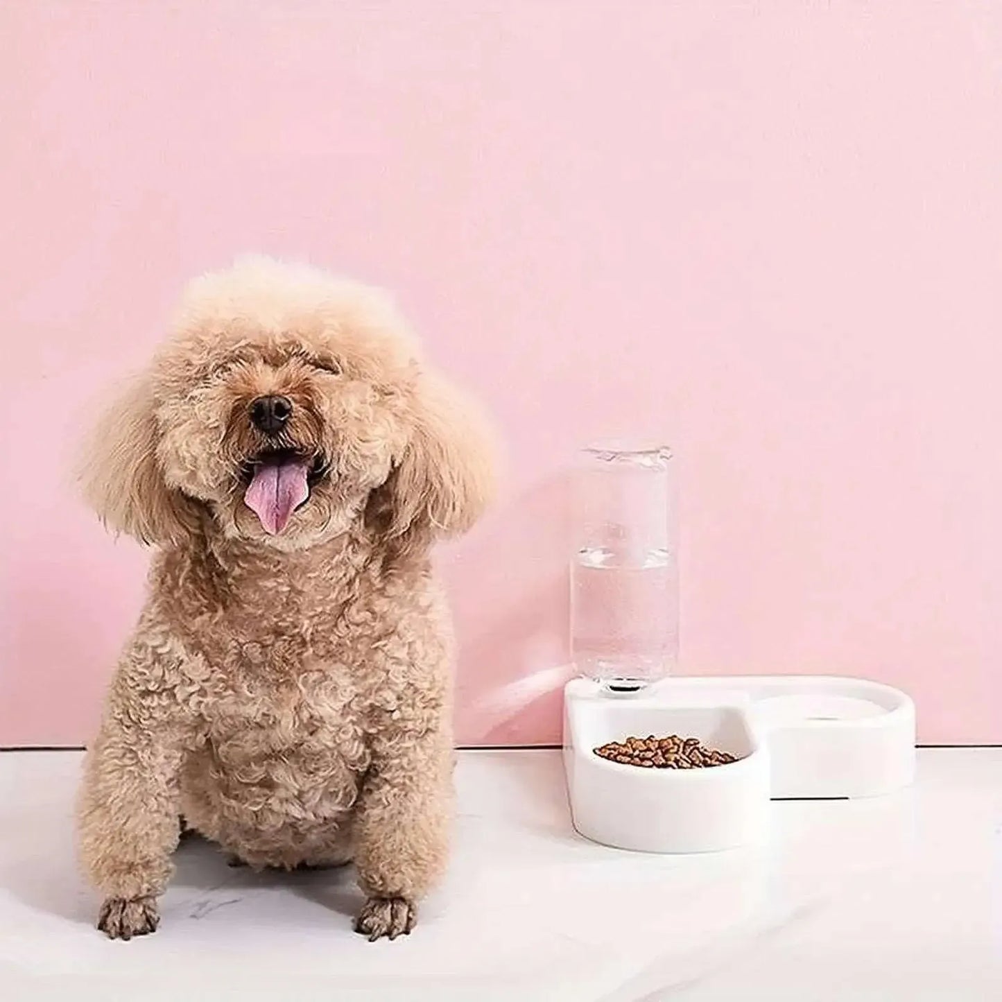 Comedero y bebedero 2 en 1 para animales domésticos esquina - mascotas