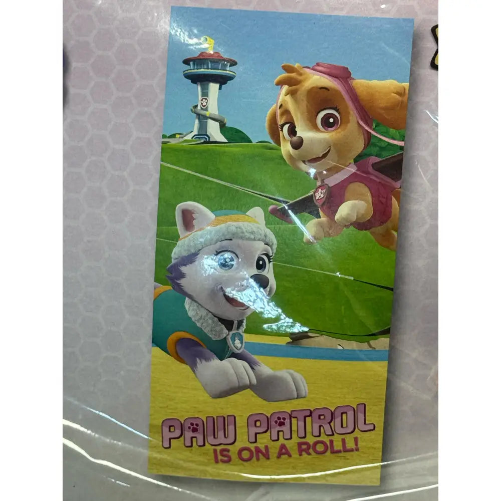 Toalla Playa Piscina Patrulla Canina Everest Sky 70x140cm infantil de microfibra para niños